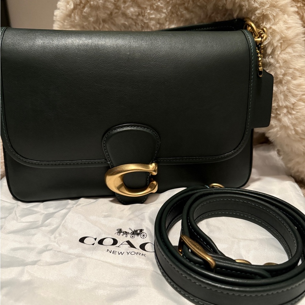 Bundle for @california705 - Coach Amazon Green Soft Tabby